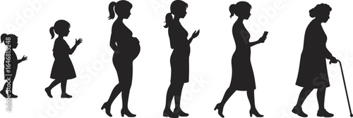 Vector silhouettes showing stages of female life from toddler, child, pregnant woman, adult woman, middle-aged woman, to elderly woman with cane, evolution concept illustration