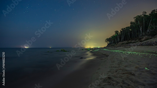 Fototapeta Naklejka Na Ścianę i Meble -  Night Landscape in the Baltic