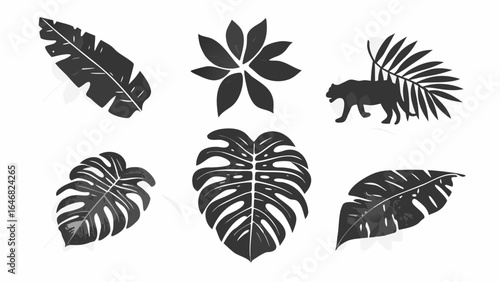 Silhouettes of tropical leaves and a panther walking under a palm frond on a white background image