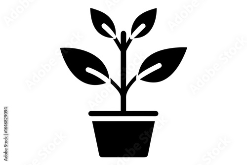 Charity Plant Growth Vector Icon