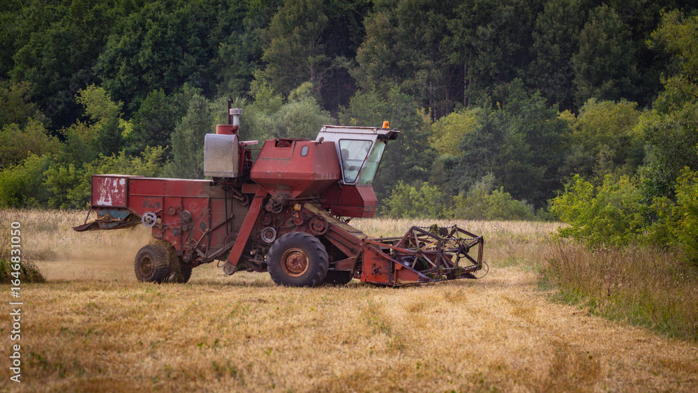 Fototapeta premium A Soviet combine harvester is working in the field