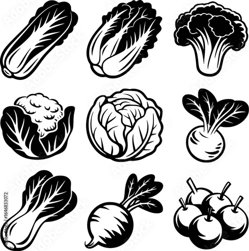 Assorted fresh vegetables and fruits in black and white choy napa
