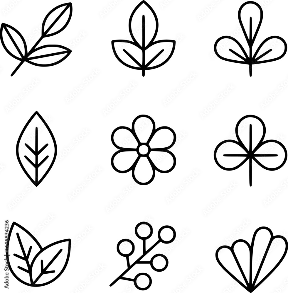 Obraz premium Botanical line art featuring leaves flowers and berries nature leaf