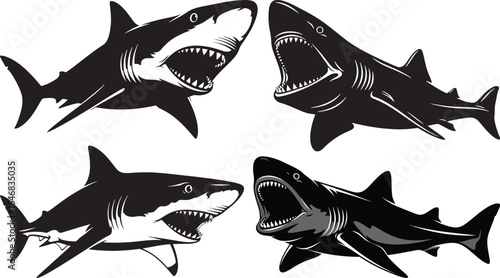 Graphical illustration set of great white sharks with mouths open showing their teeth