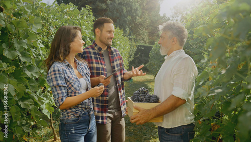 Konstfotografi Winemakers discussing grape harvest in vineyard using digital tablet