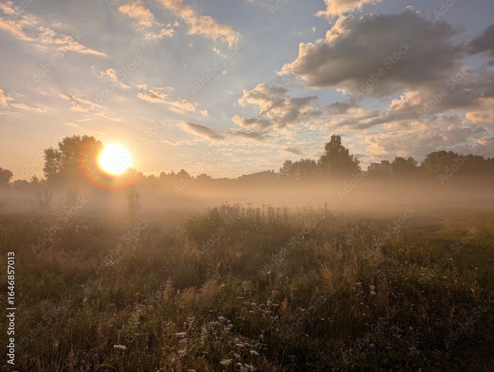 Fototapeta premium Golden morning mist harmoniously embracing wildflowers at sunrise.