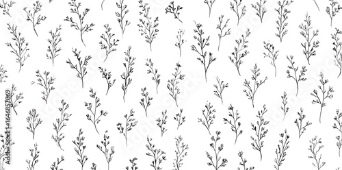 Patrón botánico dibujado a mano con ramas y hojas pequeñas sobre fondo blanco, diseño de acuarela.