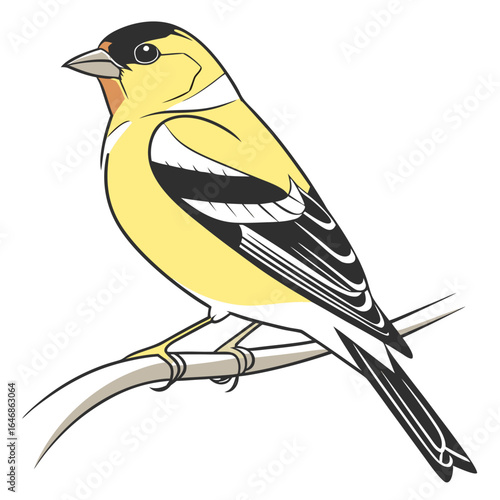 Colorful Vector Illustration of Birds on White Background