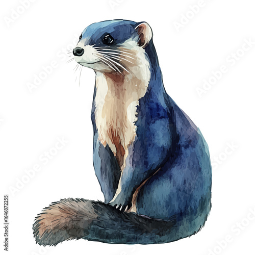 watercolor of Ferret, vector, isolated on a white background.