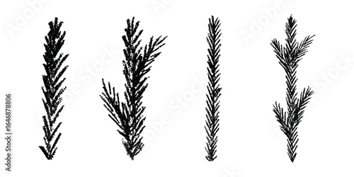 Set of hand drawn spruce branch clipart. Twig of coniferous tree doodle. Christmas and winter design element
