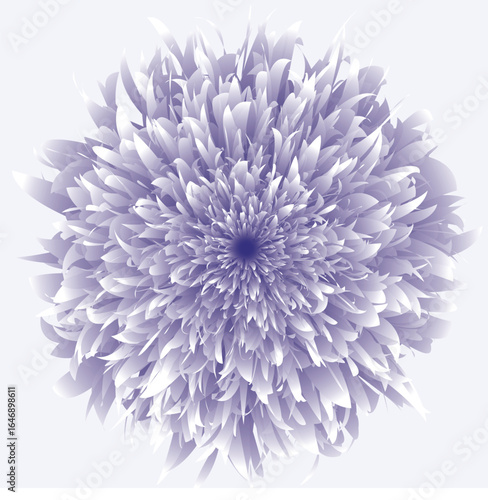 Peony, flower, botanical illustration, blossom, gradient, nature, abstract,
