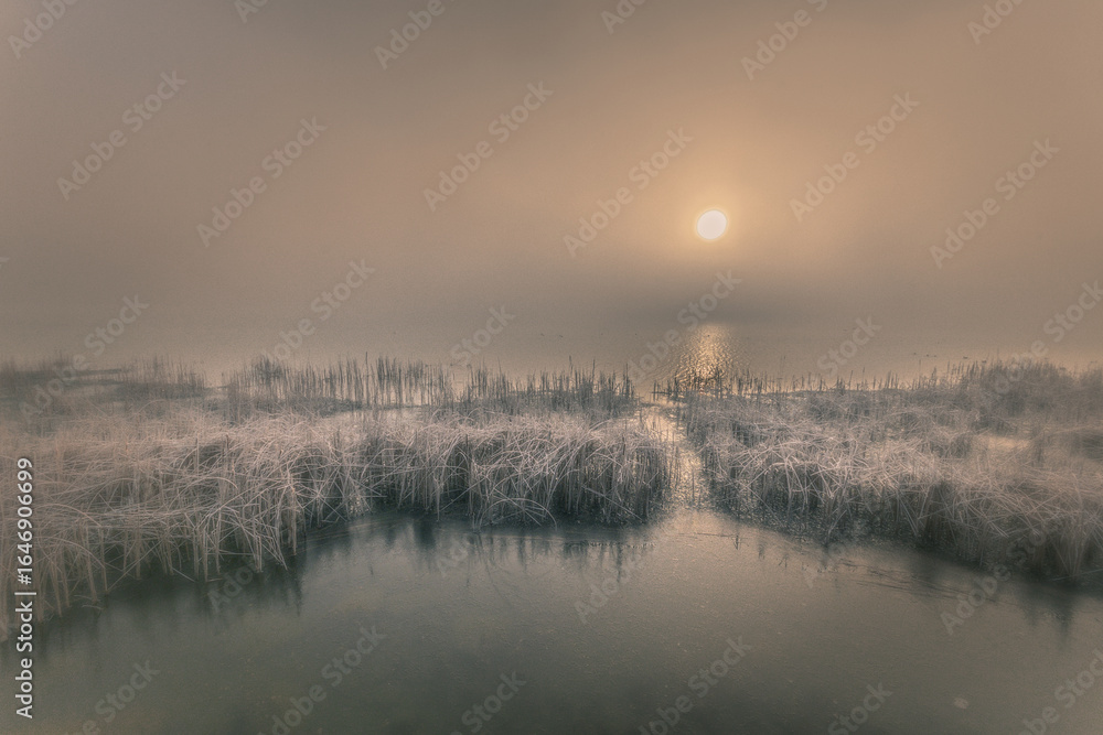 Fototapeta premium Frozen lake reeds at dawn with soft mist and sun reflection
