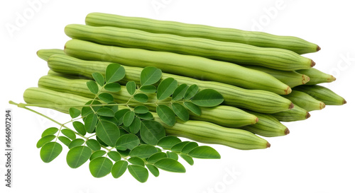 Isolated Moringa Pods and Leaves