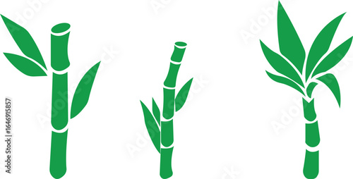 Bamboo Sugarcane icon set. Design elements for social network and application. on transparent background.Sugarcane stalks vector illustration of fresh sugarcane plants for agriculture.
