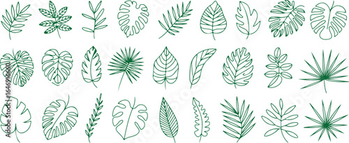 Detailed green illustrations of plant leaves, ideal for creative and artistic projects.
