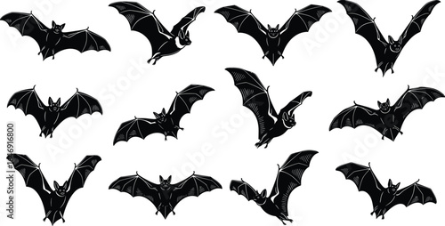 Bat silhouette illustration, flying bat poses, black vector shapes, wing anatomy, nocturnal animal, Halloween design, wildlife art, spooky theme