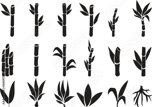 Bamboo Sugarcane icon set. Design elements for social network and application. on transparent background.Sugarcane stalks vector illustration of fresh sugarcane plants for agriculture.