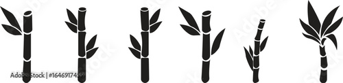 Bamboo Sugarcane icon set. Design elements for social network and application. on transparent background.Sugarcane stalks vector illustration of fresh sugarcane plants for agriculture.