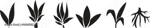 Bamboo Sugarcane icon set. Design elements for social network and application. on transparent background.Sugarcane stalks vector illustration of fresh sugarcane plants for agriculture.