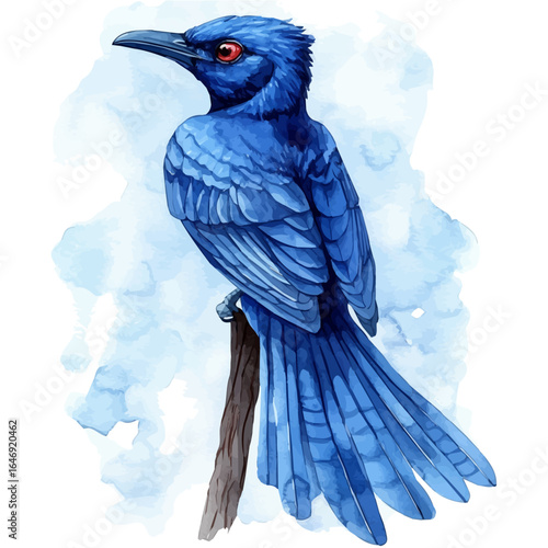 Bowerbird, watercolor illustration vector, isolated on a white background.