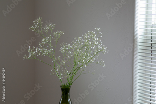 白い部屋に置かれたカスミソウ