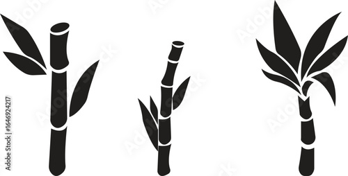 Bamboo Sugarcane icon set. Design elements for social network and application. on transparent background.Sugarcane stalks vector illustration of fresh sugarcane plants for agriculture.