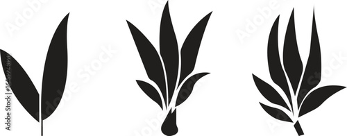 Bamboo Sugarcane icon set. Design elements for social network and application. on transparent background.Sugarcane stalks vector illustration of fresh sugarcane plants for agriculture.