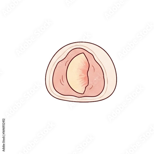 japanese food mochi peach flavor