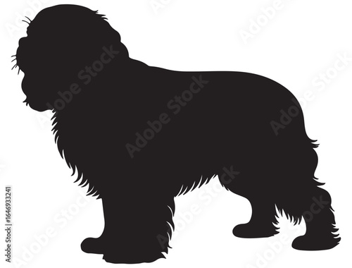 CAVALIER KING CHARLES SPANIEL DOG SILHOUETTE