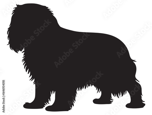 CAVALIER KING CHARLES SPANIEL DOG SILHOUETTE