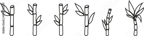 Bamboo Sugarcane line art icon set. Design elements for social network and application. on transparent background.Sugarcane stalks vector illustration of fresh sugarcane plants for agriculture.
