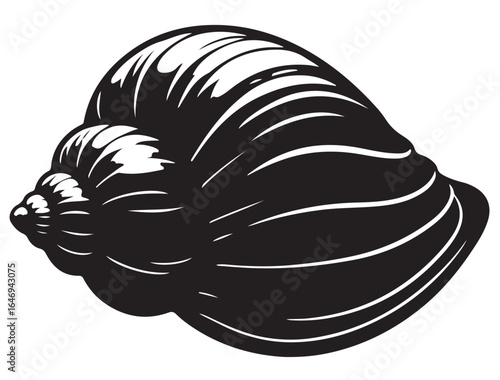 CONCH SHELL SILHOUETTE
