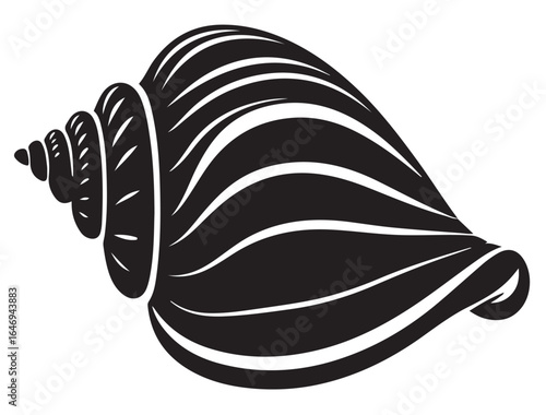 CONCH SHELL SILHOUETTE