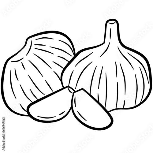 doodle garlics line art illustration