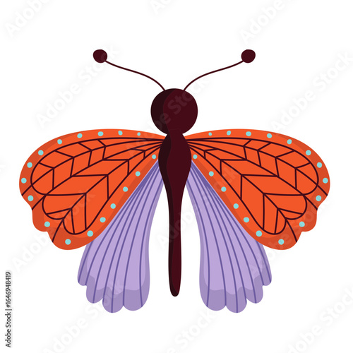 butterfly on white background