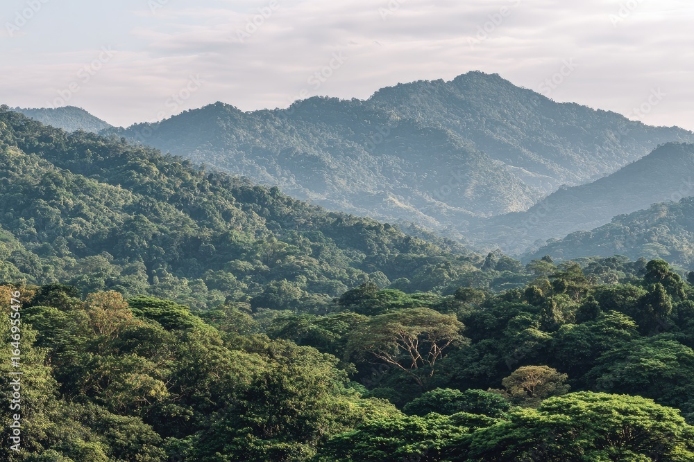 Fototapeta premium Lush mountain range covered in dense forest