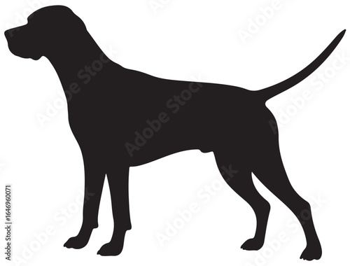  ENGLISH POINTER DOG SILHOUETTE 