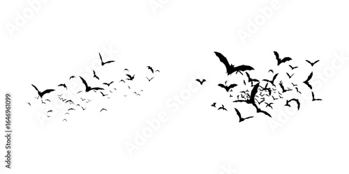 Pack of Bat Silhouettes in Flight on White Background