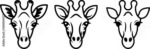 Three charming giraffe heads with expressive eyes in a simple black and white illustration.