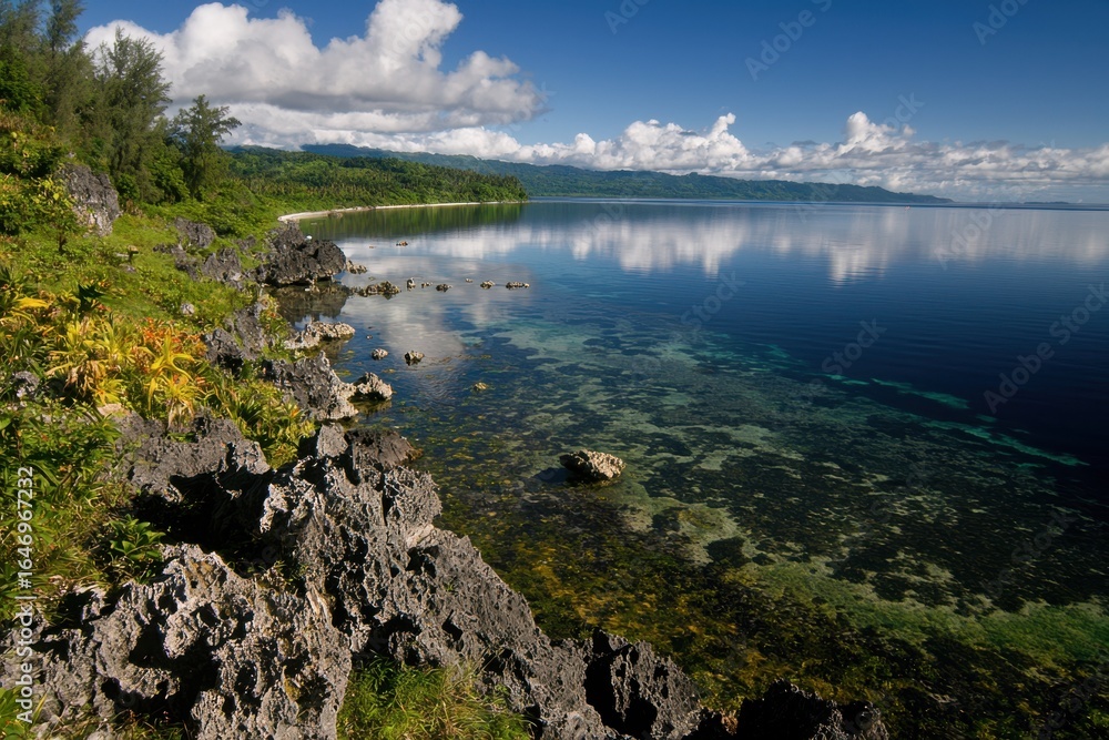 Obraz premium Tranquil Coastal Scene with Clear Waters and Lush Greenery