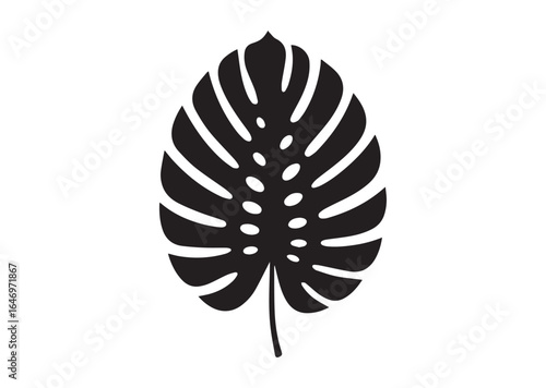 Tropical leaf silhouette vector illustration