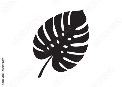 Tropical leaf silhouette vector illustration