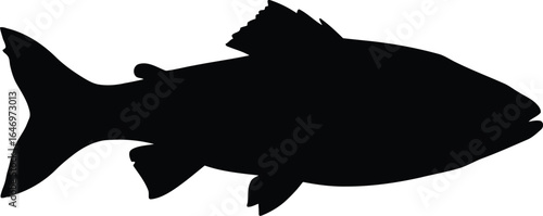 Canada goose silhouette in flight
