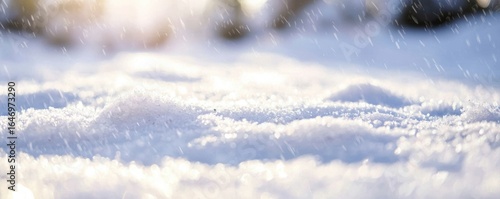 Wallpaper Mural A serene winter scene featuring softly falling snowflakes on a glistening white surface, creating a tranquil and magical atmosphere. Torontodigital.ca