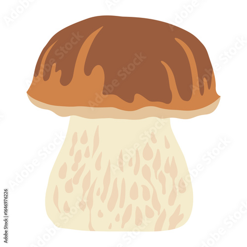Porcini mushroom, boletus vector illustration. Edible white mushroom. Autumn forest bolete mushroom on a white background. Flat simple fall plant food illustration on a white background.