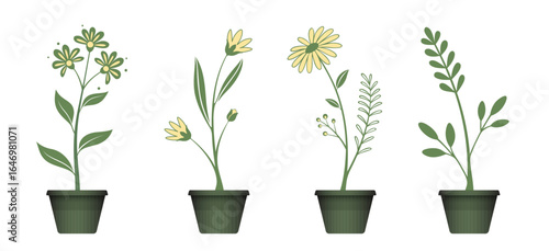 Variety of Blossoms: A curated collection of various potted flowers, presented with detail and style, ideal for adding a touch of flora to any design project or creative concept.