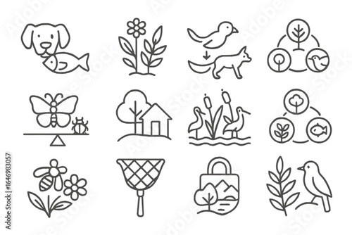 Ecosystem Line Icons. Line style icons of biodiversity and ecosystems: animal species icon, native plants, food chain icon,