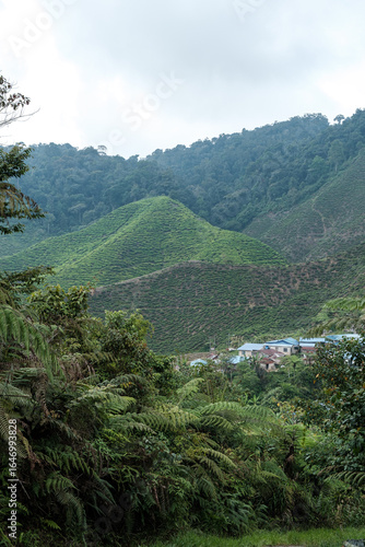Panoramic View of Mountain Range , Malaysia