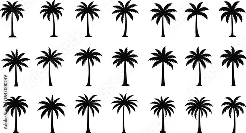 Large vector collection of detailed palm tree silhouettes, showcasing various leaf and trunk styles for tropical and summer-themed designs.
