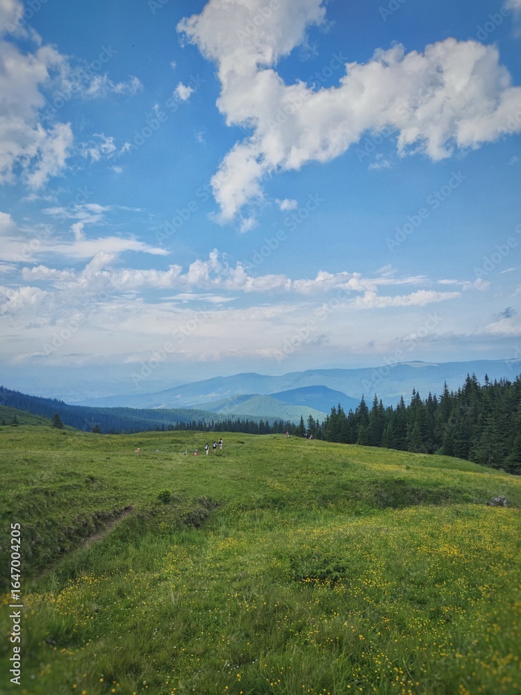 landscape with blue sky landscape with blue sky